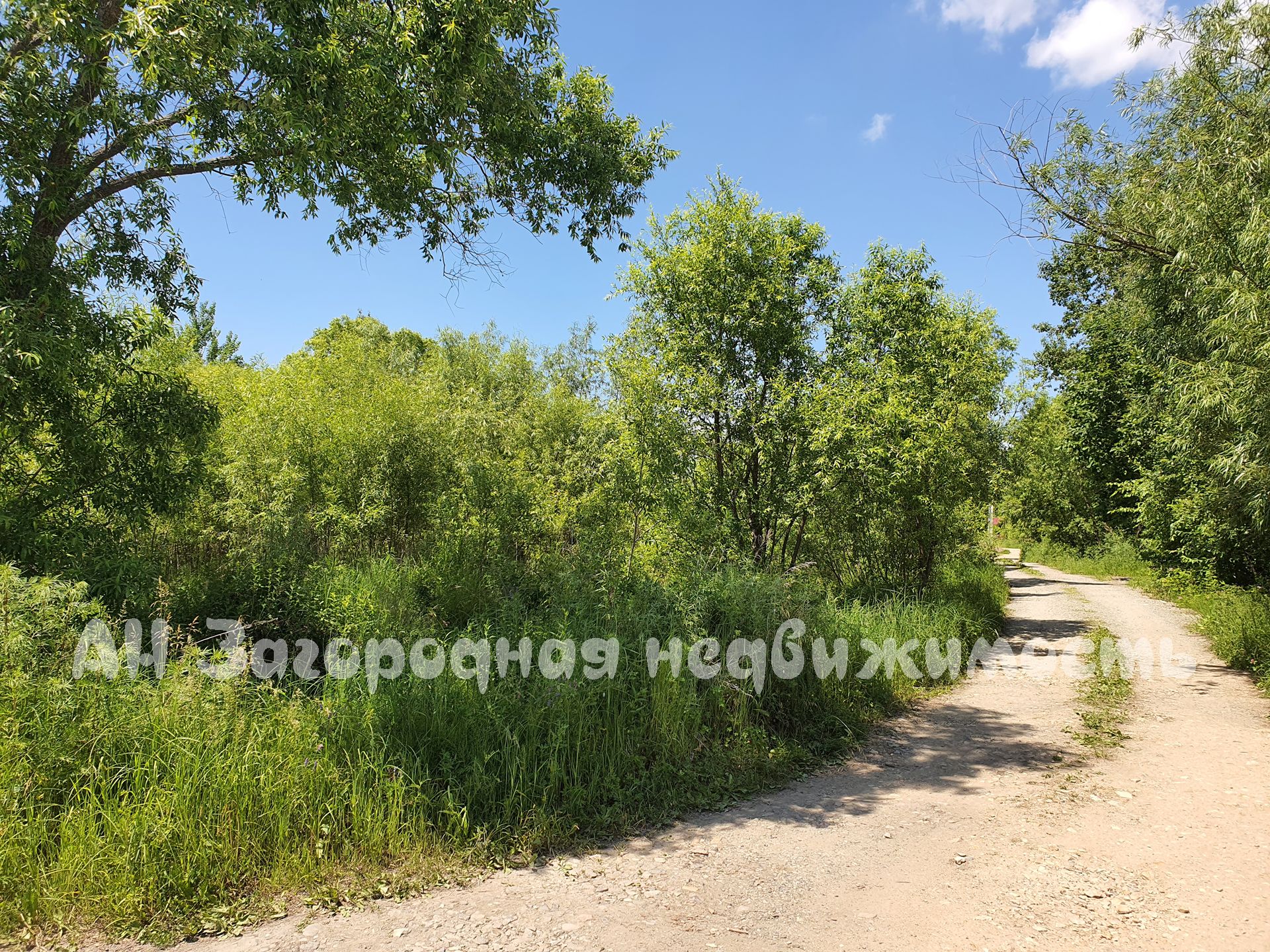 #2104. Земельный участок вблизи Хабаровска